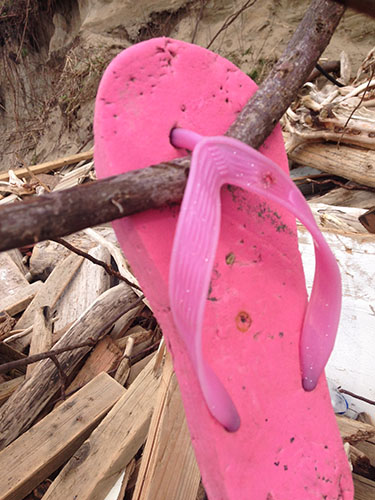 lost sole, pink