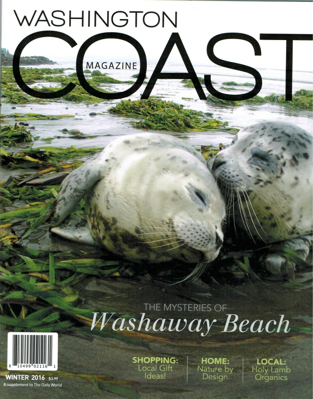 Erika Langley:Washington Coast cover