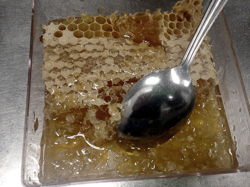 honeycomb and spoon