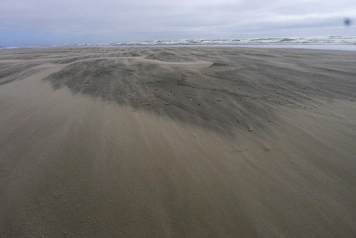 windswept beach