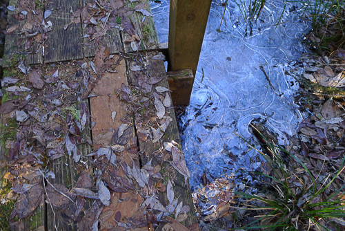 Leaves and ice, Washaway